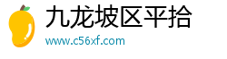 九龙坡区平拾